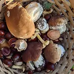 Maison De En Campagne בית נופש *