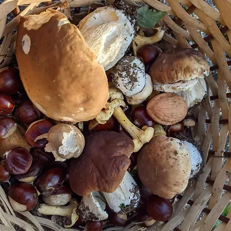 Maison De En Campagne *